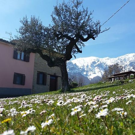 La Via Del Parco Villa Arsita Eksteriør bilde