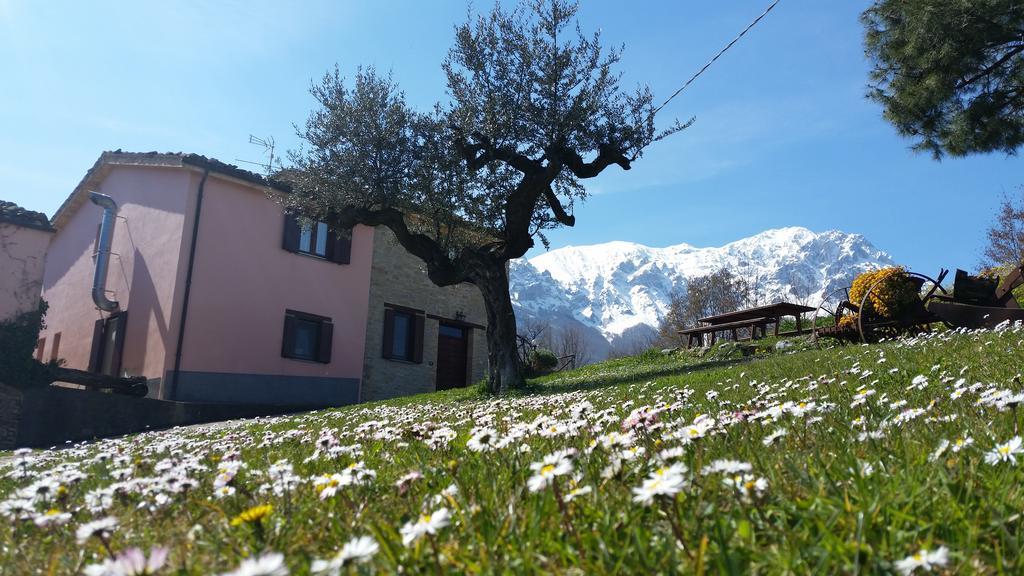 La Via Del Parco Villa Arsita Eksteriør bilde